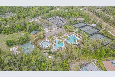 27447 Water Ash Drive, Wesley Chapel, FL 33544 - Photo 11