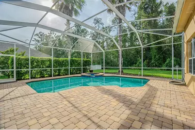 27447 Water Ash Drive, Wesley Chapel, FL 33544 - Photo 47