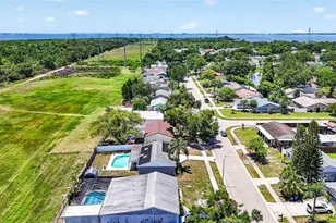 619 Timber Bay Cir E, Oldsmar, FL 34677 - Photo 59