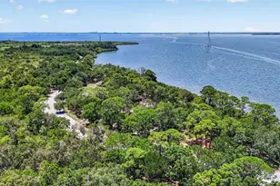 619 Timber Bay Cir E, Oldsmar, FL 34677 - Photo 69
