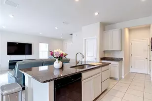 10699 Old Sycamore Loop, Land O Lakes, FL 34638 - Photo 19