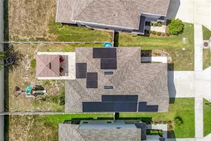 10699 Old Sycamore Loop, Land O Lakes, FL 34638 - Photo 69
