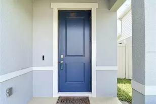 10699 Old Sycamore Loop, Land O Lakes, FL 34638 - Photo 9