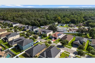 3147 Calvano Drive, Land O Lakes, FL 34639 - Photo 61