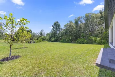 1336 Hays Road, Tarpon Springs, FL 34689 - Photo 71