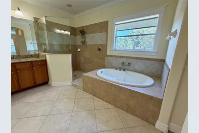 10531 Mistflower Lane, Tampa, FL 33647 - Photo 9