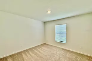 10275 Purple Leaf Ct, Riverview, FL 33578 - Photo 29