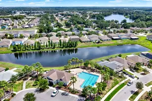 10109 Crested Fringe Dr, Riverview, FL 33578 - Photo 29