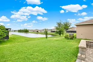 10109 Crested Fringe Dr, Riverview, FL 33578 - Photo 9