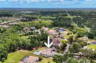 3317 Crenshaw Lake Rd, Lutz, FL 33548 - Photo 63