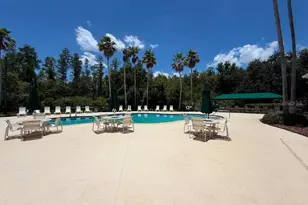 18014 Arbor Crest Dr, Tampa, FL 33647 - Photo 41