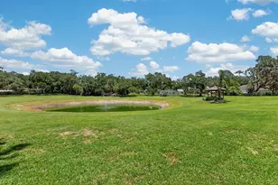 1007 Lakewood Dr, Brandon, FL 33510 - Photo 69