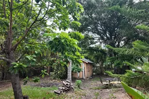 5313 18th Ave S, Gulfport, FL 33707 - Photo 37