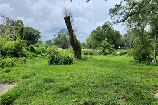 11318 Brightwood Dr, Seffner, FL 33584 - Photo 35