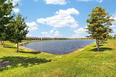 331 Mangrove Shade Circle, Apollo Beach, FL 33572 - Photo 33