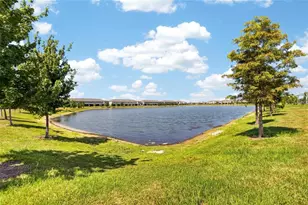 331 Mangrove Shade Cir, Apollo Beach, FL 33572 - Photo 33