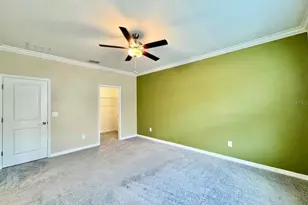 10809 Fowlers Blf Ct, Tampa, FL 33647 - Photo 27