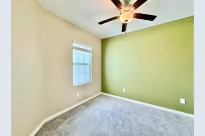 10809 Fowlers Bluff Court, Tampa, FL 33647 - Photo 17