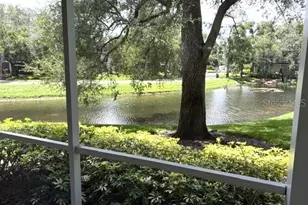 4211 Chatham Oak Ct, Tampa, FL 33624 - Photo 21