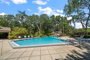 2926 Star Apple Ct, Palm Harbor, FL 34684 - Photo 23