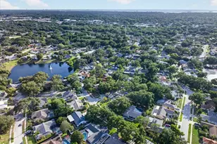 2883 Mandarin Pl, Palm Harbor, FL 34684 - Photo 57