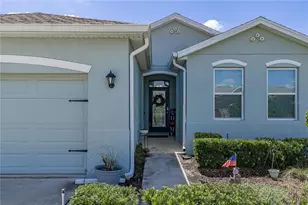 31785 Tansy Bnd, Wesley Chapel, FL 33545 - Photo 7