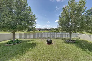 31785 Tansy Bnd, Wesley Chapel, FL 33545 - Photo 39