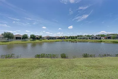31785 Tansy Bend, Wesley Chapel, FL 33545 - Photo 41