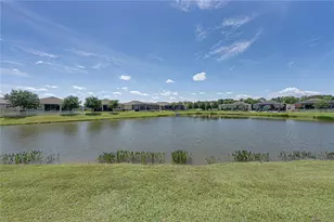 31785 Tansy Bnd, Wesley Chapel, FL 33545 - Photo 41
