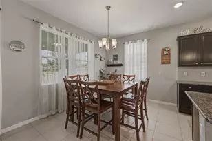 31785 Tansy Bnd, Wesley Chapel, FL 33545 - Photo 21