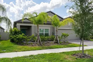 2952 Marine Grass Dr, Wimauma, FL 33598 - Photo 19
