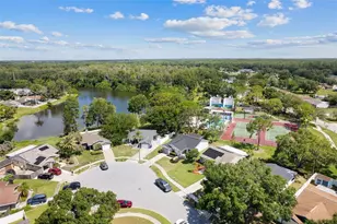 1206 Sawgrass Ct, Oldsmar, FL 34677 - Photo 29