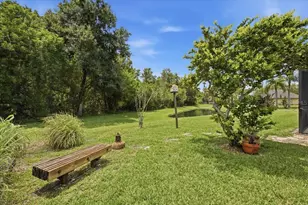 392 Tavernier Cir, Oldsmar, FL 34677 - Photo 45