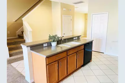 17449 Stinchar Drive, Land O Lakes, FL 34638 - Photo 5