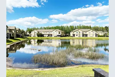 17449 Stinchar Drive, Land O Lakes, FL 34638 - Photo 25