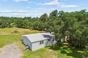 5411 Pless Rd, Plant City, FL 33565 - Photo 43