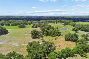 5411 Pless Rd, Plant City, FL 33565 - Photo 29