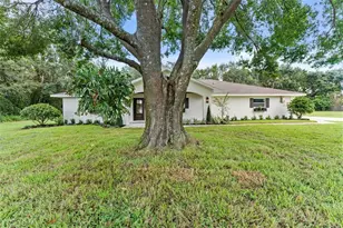 10204 Tranquil Ln, Odessa, FL 33556 - Photo 59
