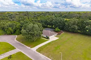 10204 Tranquil Ln, Odessa, FL 33556 - Photo 51