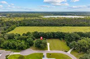 10204 Tranquil Ln, Odessa, FL 33556 - Photo 53