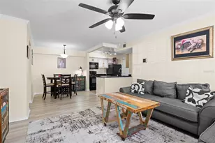 3310 Haviland Ct, Palm Harbor, FL 34684 - Photo 13