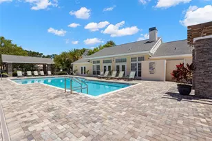 3310 Haviland Ct, Palm Harbor, FL 34684 - Photo 43