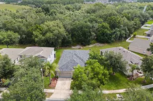 10634 Lucaya Dr, Tampa, FL 33647 - Photo 17
