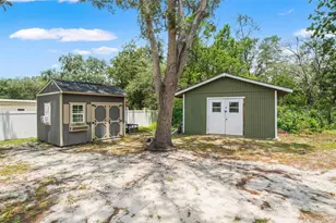 8343 Yellow Pine Ave, Brooksville, FL 34613 - Photo 39