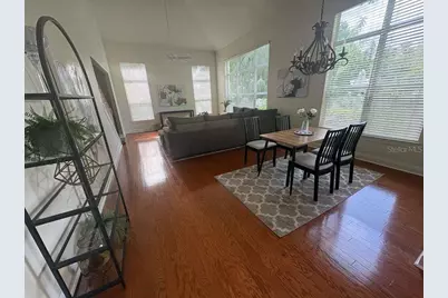 3511 Heards Ferry Drive, Tampa, FL 33618 - Photo 9