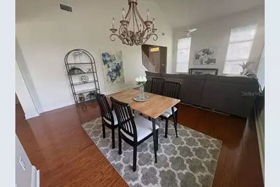 3511 Heards Ferry Drive, Tampa, FL 33618 - Photo 11