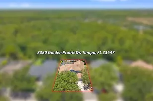 8380 Golden Prairie Dr, Tampa, FL 33647 - Photo 69