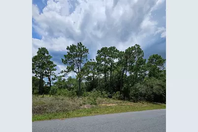 12350 S Elm Point, Floral City, FL 34436 - Photo 5