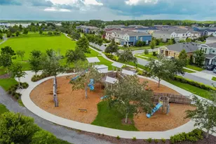17576 Terrazzo Way, Land O Lakes, FL 34638 - Photo 69