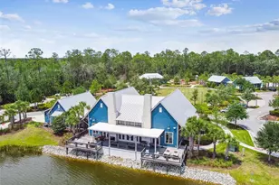 17576 Terrazzo Way, Land O Lakes, FL 34638 - Photo 59